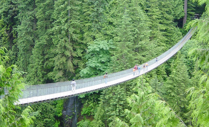 Vancouver-hon-ngoc-thai-binh-duong-capilano-bridge