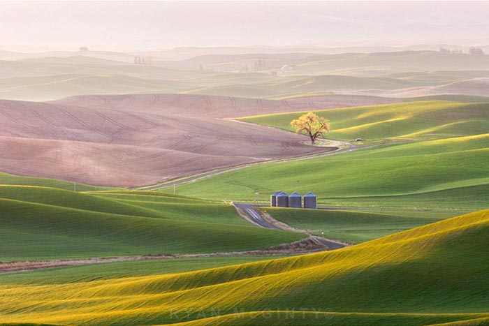 dong-co-palouse-02