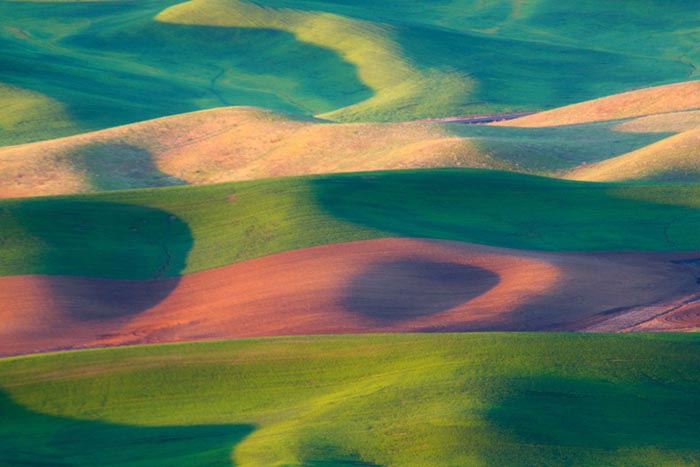 dong-co-palouse