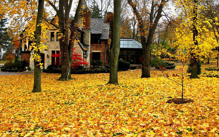 tieu-bang-Michigan