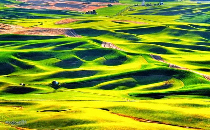 dong-co-palouse-02