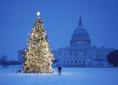 Bạn có muốn đón giáng sinh tại Mỹ năm nay?